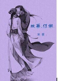 双面封面