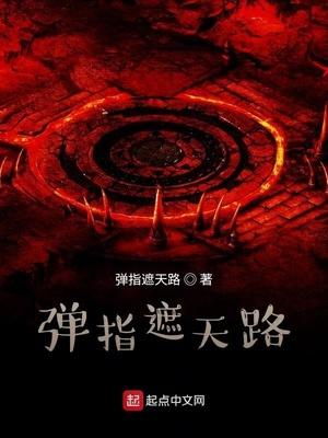 弹指遮天路封面