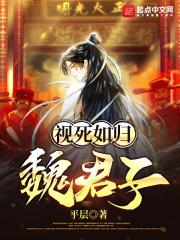大乾铁汉子封面