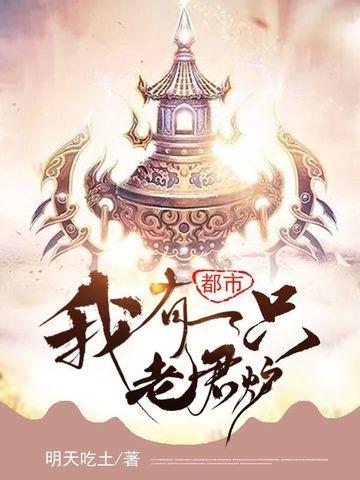 都市：我有一只老君炉封面