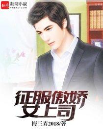 我的傲娇女上司封面