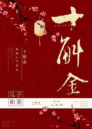 十斛金封面
