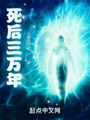 死后三万年封面
