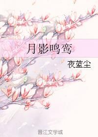 月影鸣鸾封面