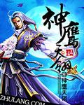 神鹰天翎封面