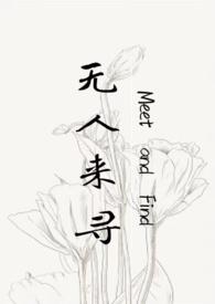 无人来寻封面