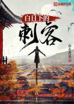 白日下的刺客封面
