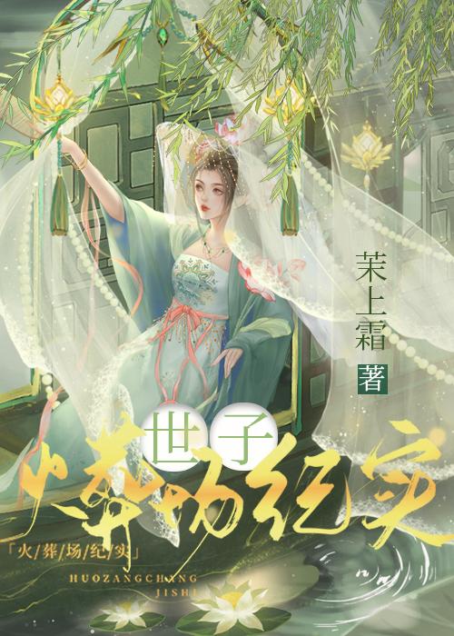 世子火葬场纪实封面