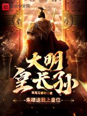 大明皇长孙封面