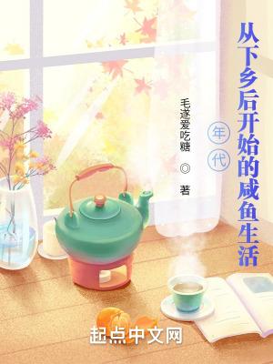 年代：从下乡后开始的咸鱼生活封面