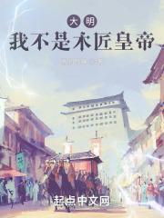 大明：我不是木匠皇帝封面