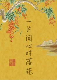 一片闲心对落花封面