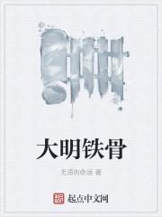 大明铁骨封面