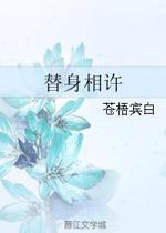 替身相许封面