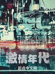 四合院：激情年代封面