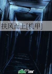 扶风而上[机甲]封面