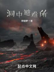 洞中避难所封面