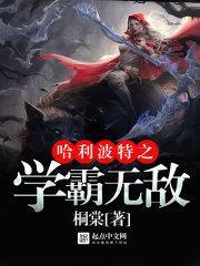 哈利波特之学霸无敌封面