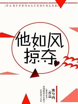 他如风掠夺封面