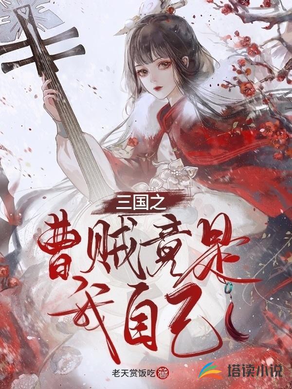 三国之曹贼竟是我自己封面