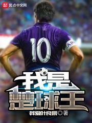 我是楚球王封面