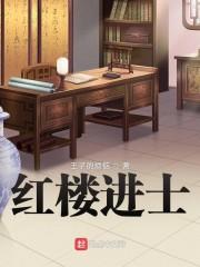 红楼进士封面