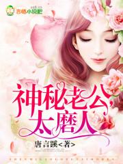 神秘老公，太磨人封面