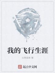 我的飞行生涯封面