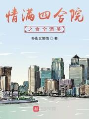 情满四合院之食全酒美封面