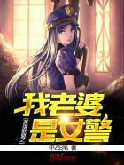 英雄联盟之我老婆是女警封面
