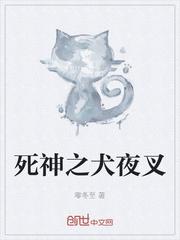 死神之犬夜叉封面