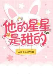 他的星星是甜的封面