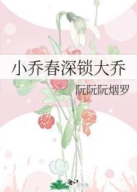 大小乔封面