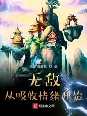 无敌从吸收情绪开始封面