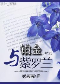 HP之铂金与紫罗兰封面