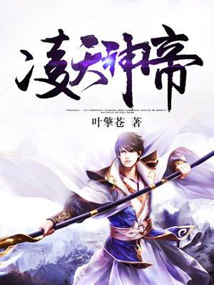 凌天神帝封面