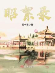 昭絮录封面