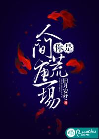 你是人间荒唐一场封面