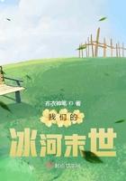 我们的冰河末世封面