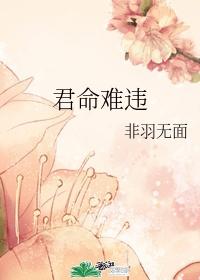 君命难违封面
