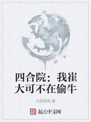 四合院：我崔大可不在偷牛封面