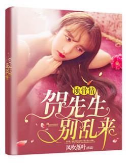蚀骨情封面
