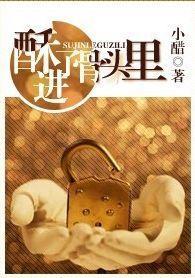 酥进了骨头裏封面