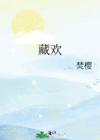 藏欢封面