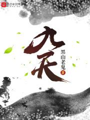 九天封面