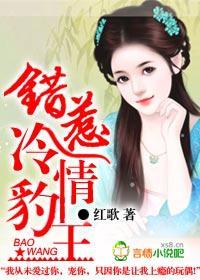错惹冷情豹王封面
