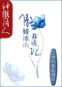 傲娇冰山养成记封面