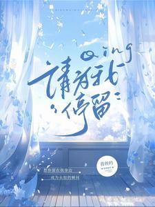 请为我停留封面