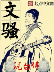 文骚封面