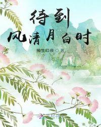 待到风清月白时封面